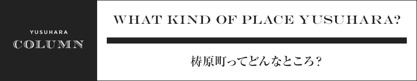 What kind of place yusuhara? 梼原町ってどんなところ？