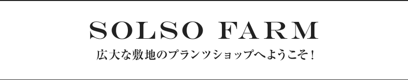 solso farm 広大な敷地のプランツショップへようこそ！