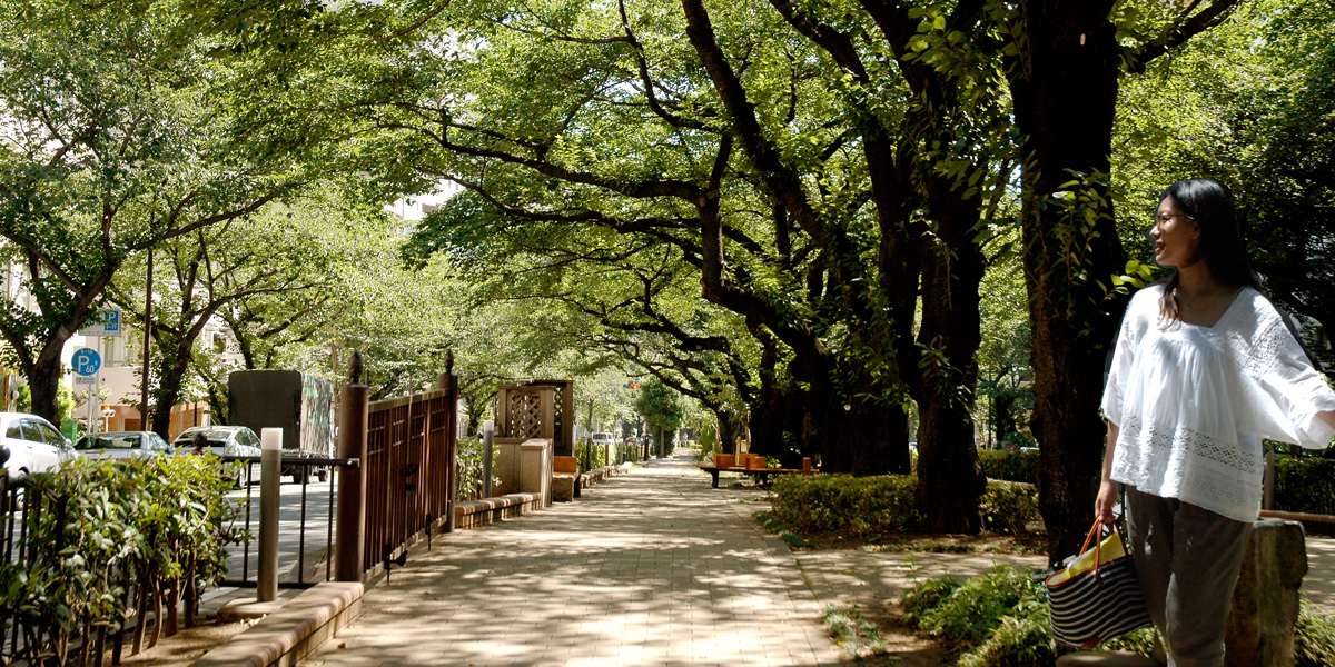 薮下 佳代さんの写真