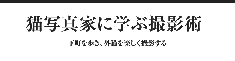 猫写真家に学ぶ撮影術 下町を歩き、外猫を楽しく撮影する