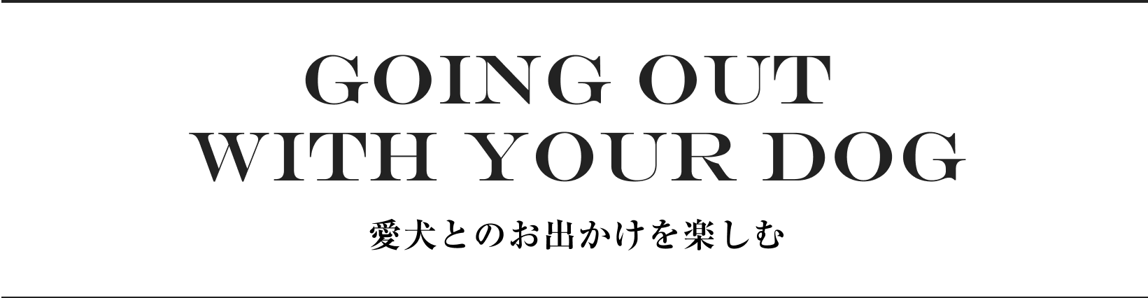 GOING OUT WITH YOUR DOG 愛犬とのお出かけを楽しむ
